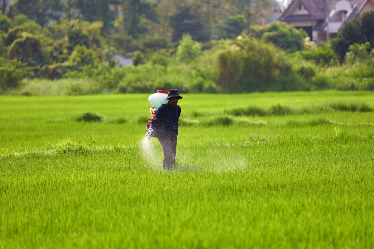 organic fertilizers